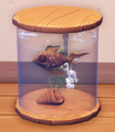 An in-game look at Mudminnow in a fish tank.