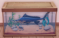 An in-game look at Blue Marlin in a fish tank.