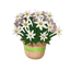 Potted Briar Daisies.png