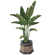 Industrial Ficus Planter.png