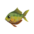 The icon of Yellow Perch in the in-game inventory.