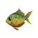 Yellow Perch.png