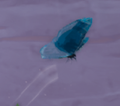 An in-game look at Common Blue Butterfly when found in the wild.