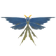Gossamer Veil Moth