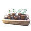 Garden Variety Sprout Planter.png