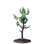 Sapling Pine Tree.png