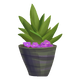 Kilima Succulent Planter