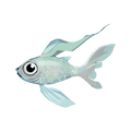 The icon of Silvery Minnow in the in-game inventory.