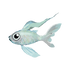 Silvery Minnow.png