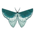 The icon of Common Blue Butterfly in the in-game inventory.