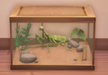 An in-game look at Garden Mantis.