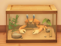 An in-game look at Bahari Crab.