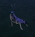 An in-game look at Spotted Mantis when found in the wild.