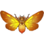 65px-Spitfire_Cicada.png