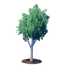 Young Birch Tree.png