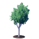 Young Birch Tree.png