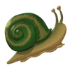 Garden Snail