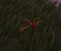 Un aperçu de Firebreathing Dragonfly dans le jeu lorsqu'elle est trouvée dans la nature.