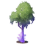 Adult Flow Oak Tree.png