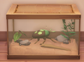 An in-game look at Spotted Stinkbug.