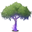 Mature Flow Oak Tree.png