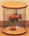 An in-game look at Orange Bluegill in a fish tank.