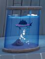 Stickleback in an aquarium.