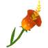 Sundrop Lily.png