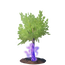 Sapling Flow Oak Tree.png