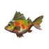 Painted Perch.png
