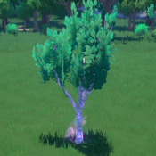 Young Flow Birch Tree Ingame.png