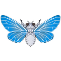 The icon of Cerulean Cicada in the in-game inventory.