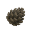 Pinecone.png