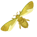 The icon of Golden Glory Bee in the in-game inventory.