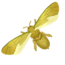 65px-Golden_Glory_Bee.png