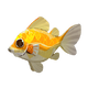 Radiant Sunfish