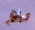 An in-game look at Bahari Crab when found in the wild.
