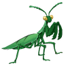 Leafstalker Mantis