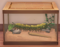 An in-game look at Garden Millipede.