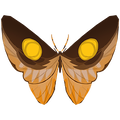The icon of Brighteye Butterfly in the in-game inventory.