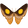 Brighteye Butterfly.png