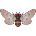 The icon of Common Bark Cicada in the in-game inventory.