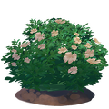 The icon of Gardenia Flower in the in-game inventory.