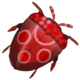 Raspberry Beetle
