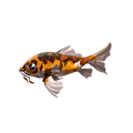 The icon of Scarlet Koi in the in-game inventory.