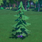 Young Flow Pine Tree Ingame.png
