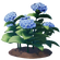 Blue Hydrangea Flower.png