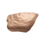 Unopened Oyster.png