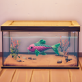 An in-game look at Fairy Carp in a fish tank.