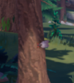 ゲーム内でコクマルゼミが野生でどう見えるか